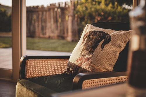 a pillow on a chair with a picture of a dolphin on it at Relais Almaranto in Calamandrana