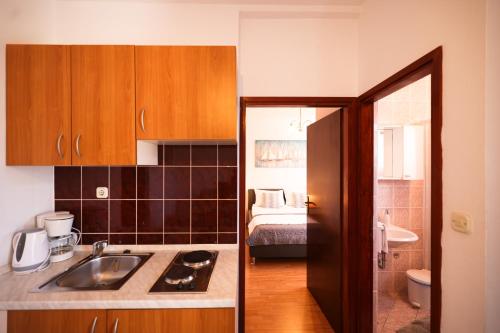 Apartments Lisica
