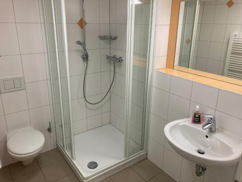 a bathroom with a shower and a toilet and a sink at ALPEN EXPERIENCE - CVJM Aktivzentrum Hintersee, Jugendgästehaus in Ramsau
