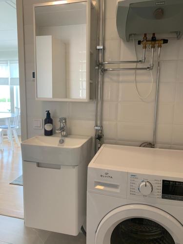 a laundry room with a washing machine and a sink at Hjalmars Väg 10 Magnarp in Vejbystrand