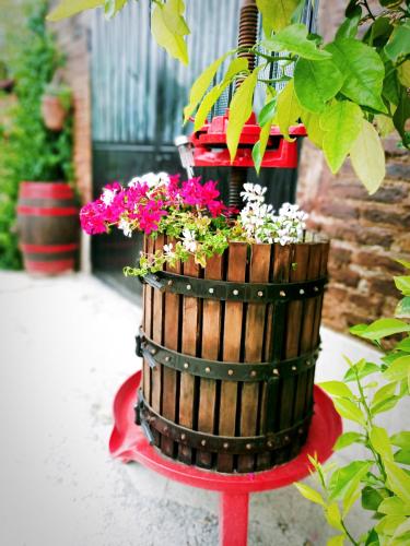 a wooden barrel filled with flowers on a red table at La casa sul tetto, Room's & Glamping in Recanati