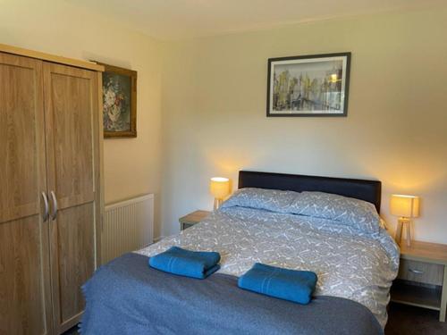 a bedroom with a bed with two blue pillows on it at Burnside Cottage on the Blarich Estate in Rogart