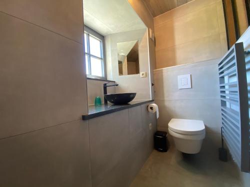 a bathroom with a sink and a toilet in it at Le Scailleteux - Gîte de charme clôturé, accès à la rivière in Fauvillers