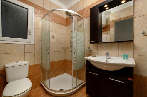 een badkamer met een douche, een toilet en een wastafel bij Villa Alexandra in Boukari