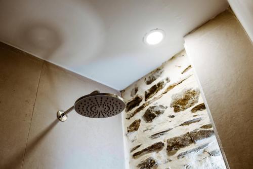 a shower with a shower head in a bathroom at Traditional Apartments Elafos in Elafonisi