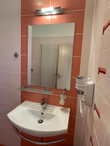 a bathroom with a sink and a mirror at Penzion U Bohuša in Lednice