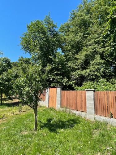 a tree in a field next to a fence at Penzion U Bohuša in Lednice