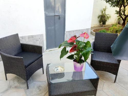 a patio with two chairs and a table with a potted plant at A casa di Raffaella e Antonio in Surbo