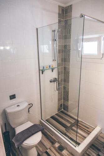 a bathroom with a glass shower with a toilet at Casa Di Terra in Pigadhákia