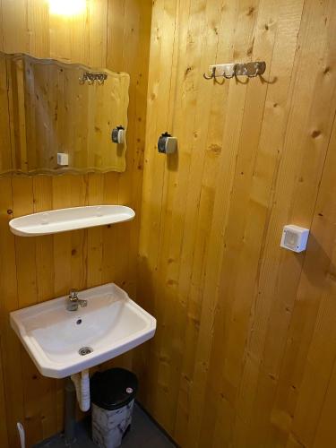 a bathroom with a sink and a mirror at Casa Carolina in Roşia Montană