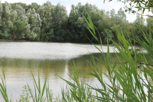 NetterdenPipowagen Jasmijn bij Pipowagen en kampeerhoeve s Gravenhof的相册照片