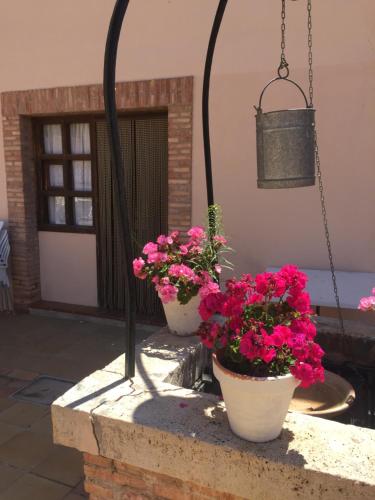 two pots of pink flowers sitting on a stone wall at Castillo con piscina en plena Sierra Calderona in Segorbe