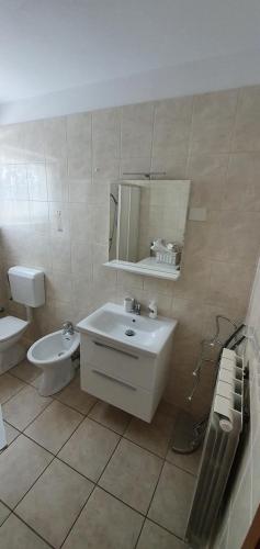 a bathroom with a sink and a toilet and a mirror at Nevija in Peroj