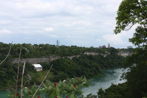 a view of the river from a bluff at Ellis House Bed & Breakfast in Niagara Falls