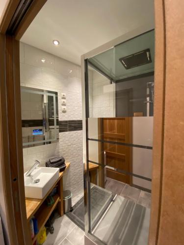 a bathroom with a sink and a mirror at Appartement cosy au cœur des Vosges in Épinal