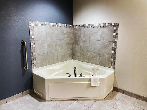 Bagno di Microtel Inn & Suites by Wyndham Michigan City