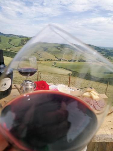 a person holding a glass of red wine at Agriturismo Collomici in Celle sul Rigo