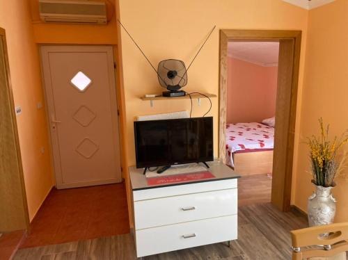 Cette chambre dispose d'une commode et d'une télévision. dans l'établissement Apartment Zdenka, à Vir