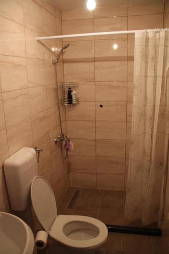 a bathroom with a shower with a toilet and a sink at Apartman NeSa Boracko jezero in Konjic