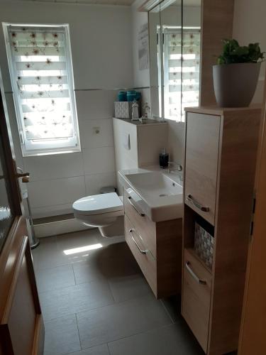 a bathroom with a toilet and a sink and a mirror at Ferienwohnung Katzschner in Drehna