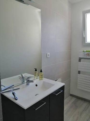 une salle de bain avec un lavabo et un miroir dans l'établissement Maison de campagne 