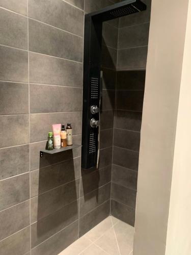 une salle de bain avec douche aux carreaux gris dans l'établissement Sur la Terrasse, à Sigean