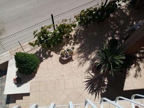 an overhead view of a garden with plants and trees at Apartments Anita Frane in Vodice