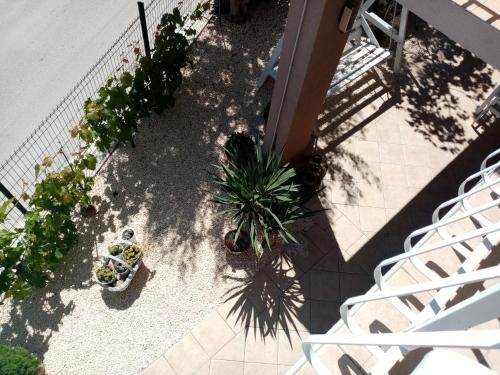 an overhead view of a patio with palm trees and plants at Apartments Anita Frane in Vodice