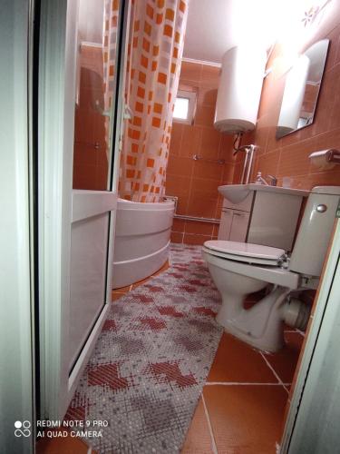 a bathroom with a toilet and a sink and a tub at Dayly House Apartament Sulina in Sulina