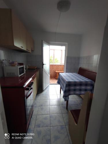 a kitchen with a table and a kitchen with a window at Dayly House Apartament Sulina in Sulina