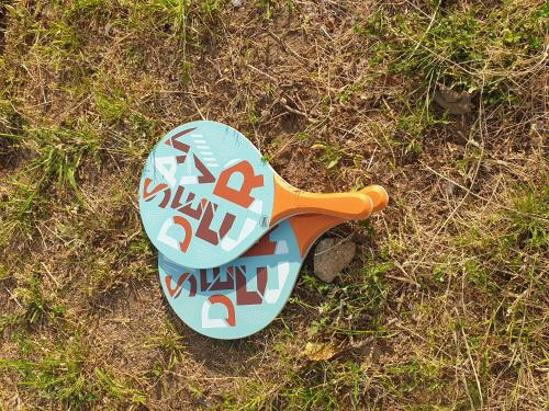 a skateboard laying on the ground in the grass at Gite Ferme Brelouffe 1 in La Rosière