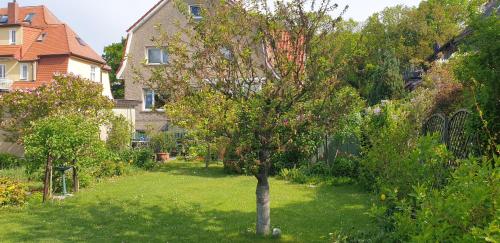 Zahrada ubytování Ferienwohnung Parkstraße