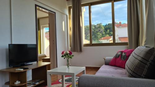 een woonkamer met een bank en een tv bij Apartments Ribarić in Rab