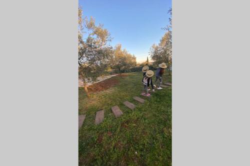 two people walking down a path in the grass at Villa Stanzietta Novigrad for 10 at Olive orchard in Novigrad Istria
