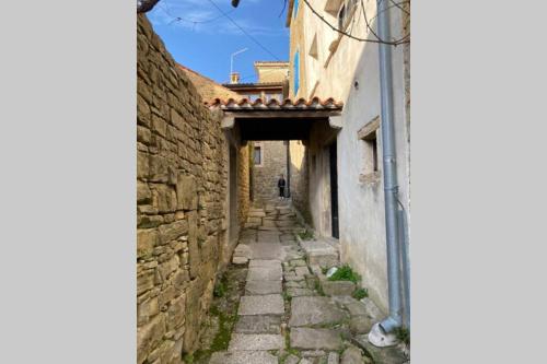 an alley between two buildings with a person walking down it at Villa Stanzietta Novigrad for 10 at Olive orchard in Novigrad Istria