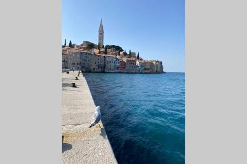 a view of the water in front of a city at Villa Stanzietta Novigrad for 10 at Olive orchard in Novigrad Istria