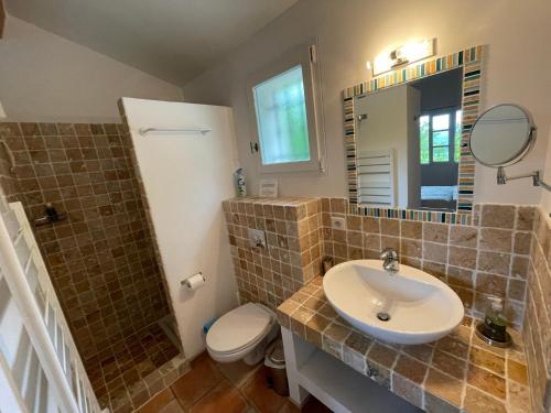 une salle de bain avec un lavabo, des toilettes et un miroir dans l'établissement Gite with Pool, 900 metres walk to Saint Saturnin Les Apt, à Saint-Saturnin-lès-Apt