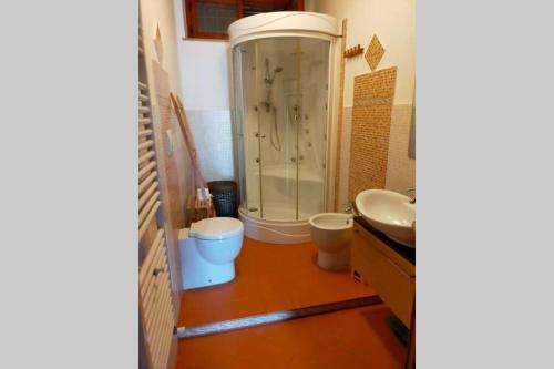 y baño con ducha, aseo y lavamanos. en L' Agave - Appartamento nel cuore del Chianti, en Castelnuovo Berardenga