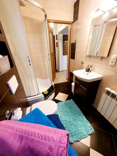 a bathroom with a shower and a sink and a toilet at Apartament Sprężynka in Mrągowo