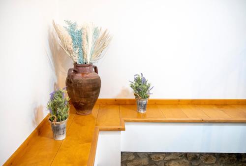 a group of potted plants sitting on a counter at Samaradiko in Kondiás