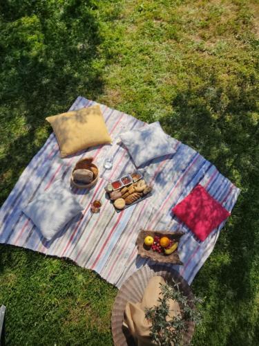 a blanket on the grass with some food on it at Lugar dos Vales-Memorável, Encantador e Autêntico! in Mirandela