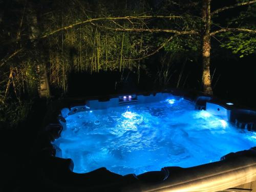 - un bain à remous dans les bois la nuit dans l'établissement Au bercail de Bizebarre - Maison bois & pierre dans un hameau - Spa, à Saint-Vivien