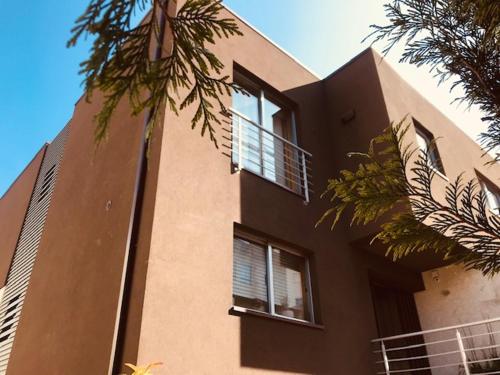 a building with a palm tree in front of it at Bracara luxury guesthouse in Braga