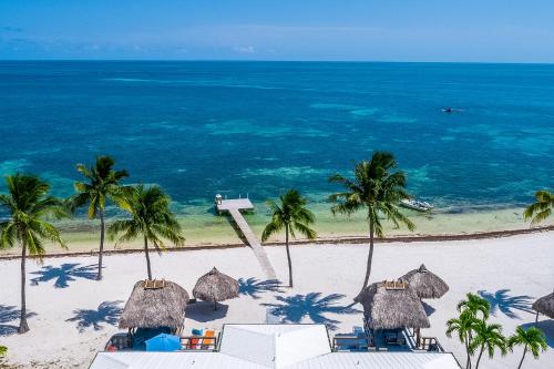 an aerial view of a beach with palm trees and the ocean at The Zane Grey in Layton
