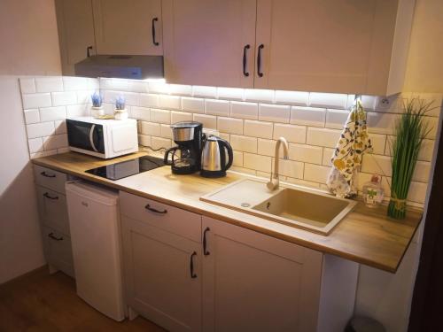 eine Küchentheke mit einer Spüle und einer Mikrowelle in der Unterkunft Chatka u Radka in Ustka