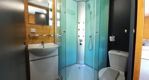 a bathroom with a shower and a sink and a toilet at Quinta São José - Museu do Triciclo in Mesão Frio