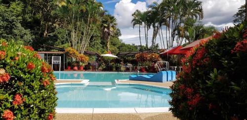 a swimming pool at a resort with palm trees at Balneario Chorillano in Villavicencio