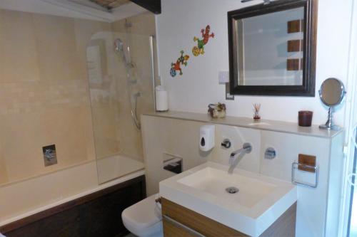 a bathroom with a sink and a shower and a toilet at Marigot Palms Luxury Caribbean Apartment Suites in Marigot Bay