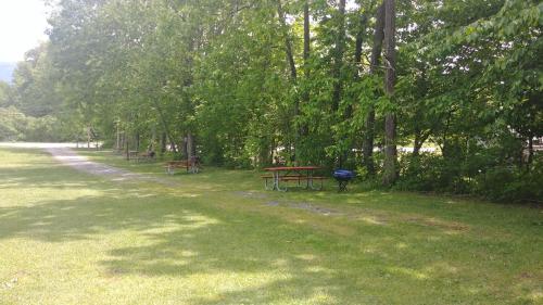 a row of picnic tables in a park with trees at Serenity Motel in Shaftsbury