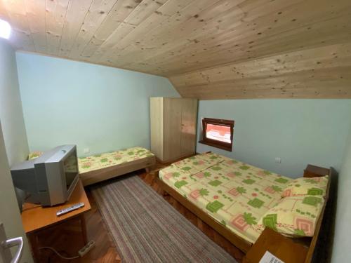 a small bedroom with two beds and a television at Konaci Nikola Banja Vrujci in Gornja Toplica